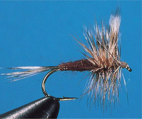 Dry Fly - Dry Fly Brown Adams #16