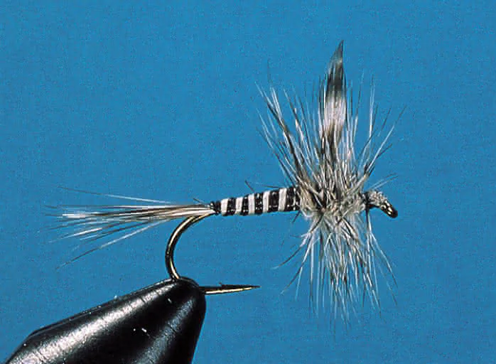Dry Fly - Dry Fly Mosquito #18