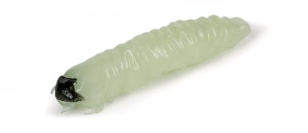 Pentru pastrav - Momeala Molix Caimano Worm 3,8 cm, 10 bucati, Solid Glow