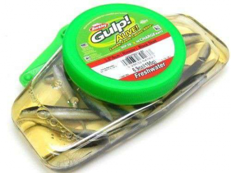 Naluci soft - Momeala Berkley Gulp! Alive! Minnow 10 cm, 10 bucati