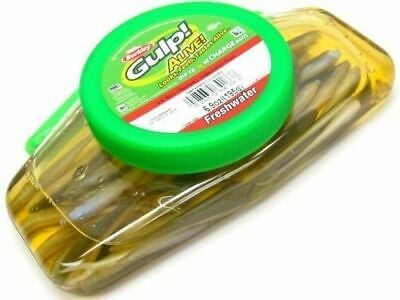 Naluci soft - Naluca Berkley Gulp! Alive! Natural EEL 20 cm, 10 bucati