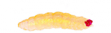 Pentru pastrav - Naluca Tamura Camole Super Soft Lure MF-1003; 2,5 cm; 8 bucati; CULOARE - 9