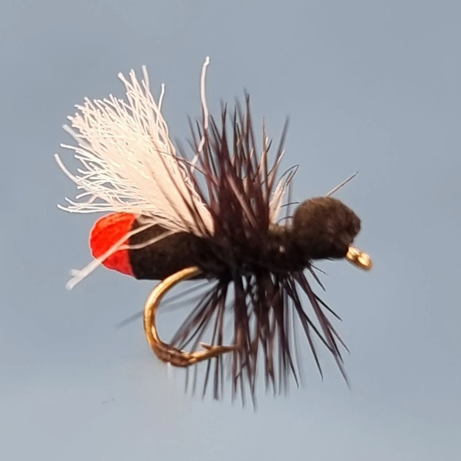 Accesorii Dry Fly - Red Butt Ant