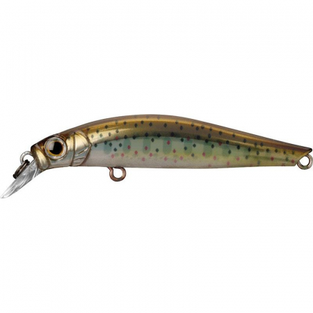 Voblere - Vobler Jackson Artist FR55 Fario 5.5 cm, 4 g