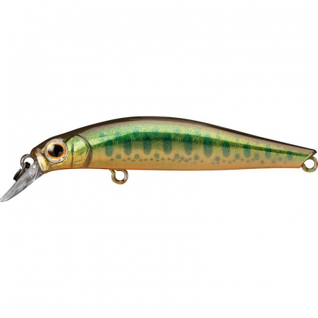 Naluci hard - Vobler Jackson Artist FR55 KY 5.5 cm, 4 g