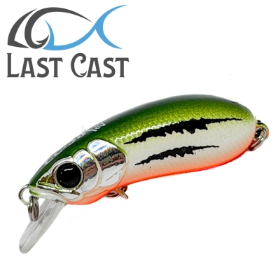 RAPITORI - Vobler Last Cast CC38 #43