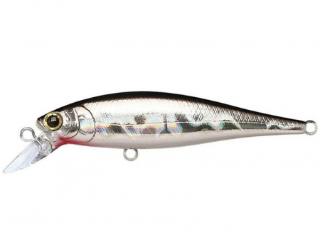 RAPITORI - Vobler Lucky Craft Pointer 65 SP Bait Fish Silver