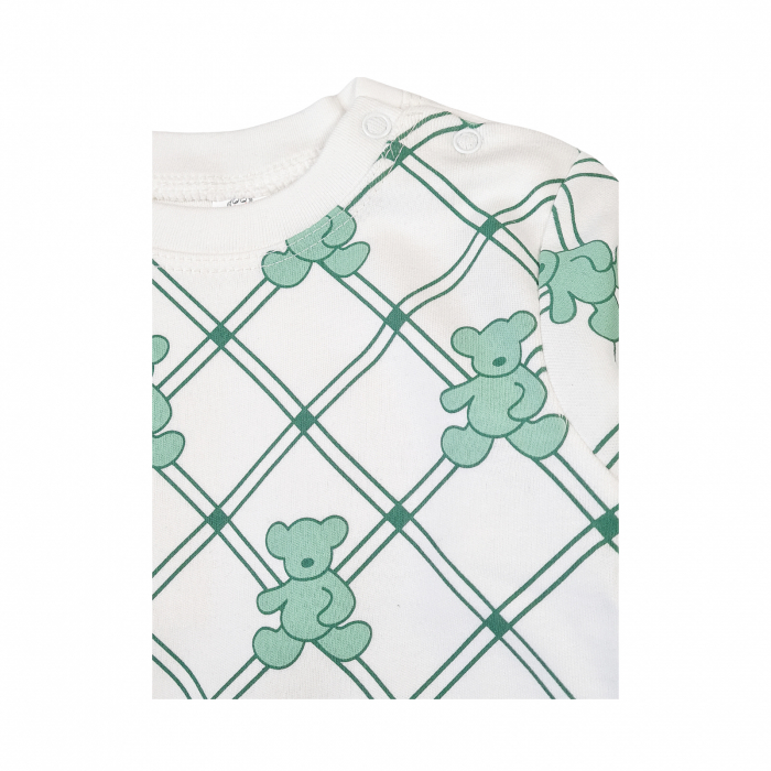 Compleu ursuleti vernil [2]