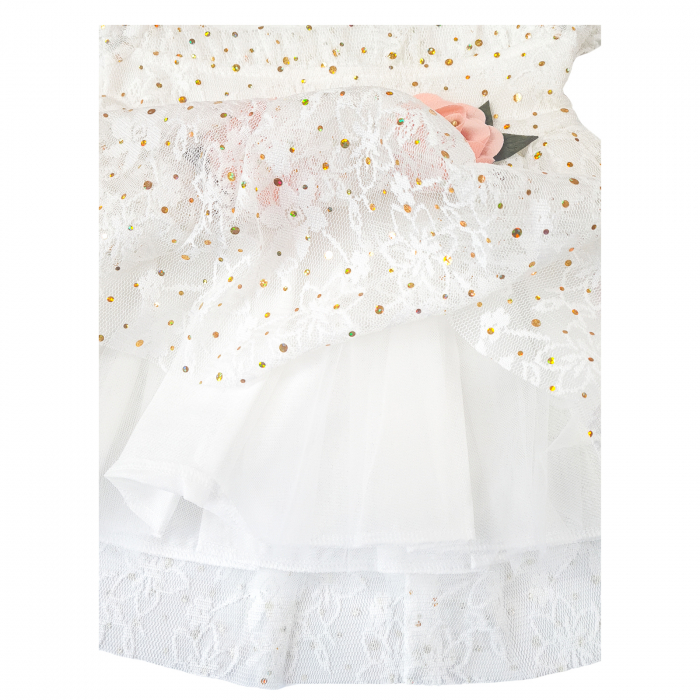 rochita-aria [3]