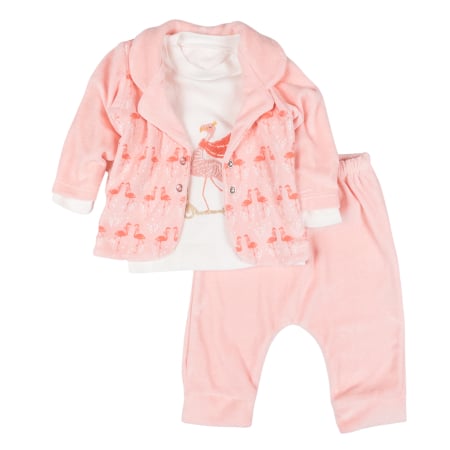 Imbracaminte nou-nascuti - Compleu catifelat pentru fetite, 3 piese, model Egreta