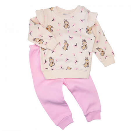 Haine bebelusi fete - Compleu pentru fetite, model cu iepurasi