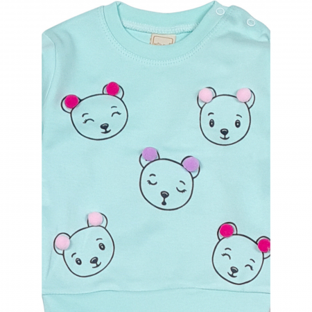 Compleu ursuleti bulinute [1]