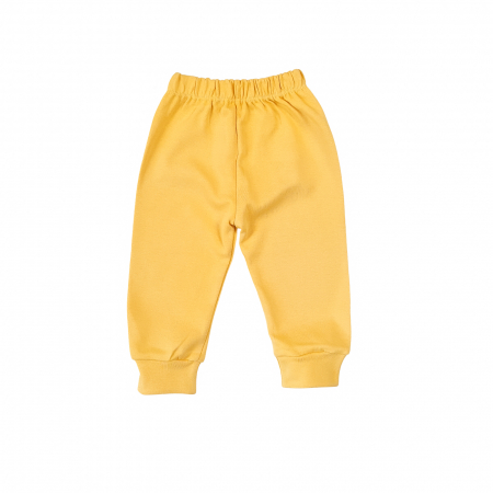 Compleu ursuleti galben [1]