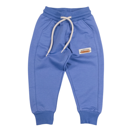 Haine bebelusi baieti - Pantaloni trening, model Albastru