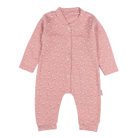 Imbracaminte nou-nascuti - Salopeta pentru bebelusi, model Floricele