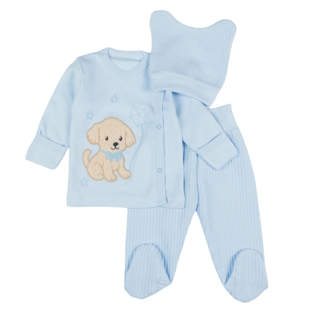 Compleuri bebelusi baieti - Set 3 piese pentru nou nascuti, model Catelus