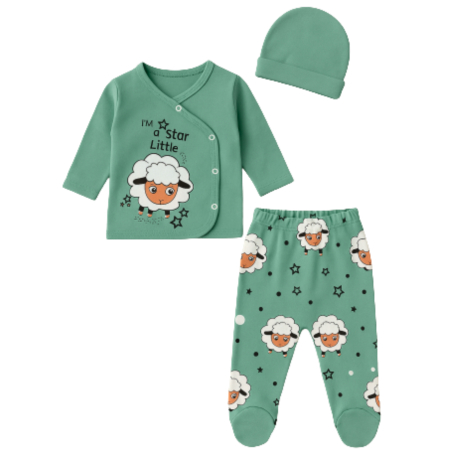 Haine bebelusi baieti ❤️ - Set 3 piese pentru nou nascuti, model cu Oita