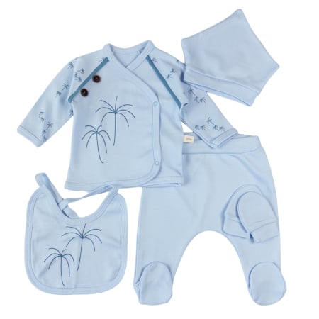Compleuri bebelusi baieti - Set 5 piese pentru nou nascuti, model Palmier Blue