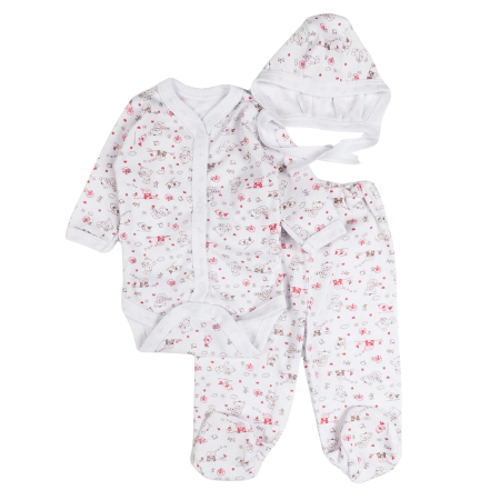 Haine bebelusi baieti - Set pentru nou-născuți, 3 piese, Catelusi
