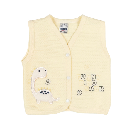 Imbracaminte nou-nascuti - Vesta pentru bebelusi, model Dino
