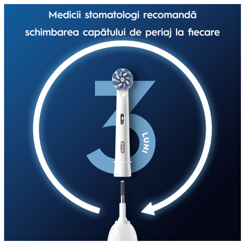 https://www.beststoreonline.ro/rezerve-periuta-de-dinti-electrica-sensitive-clean-oral-b-pro-10-buc.html [3]