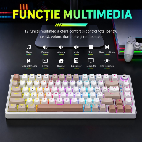 https://www.beststoreonline.ro/tastatur%C4%83-mecanic%C4%83-gaming-newevo-83-taste-rgb-layout-compact-roti%C8%9B%C4%83-multifunc%C8%9Bional%C4%83-anti-ghosting-full-key-cablu-usb-type-c-deta%C8%99abil-windows-mac-android-ios-alb-roz.html [1]