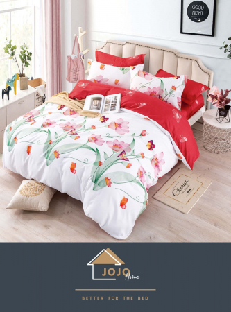 Lenjerii Pat 2 Persoane - 
Lenjerie pat 2 Pers, Jojo, Bumbac Finet,6 piese