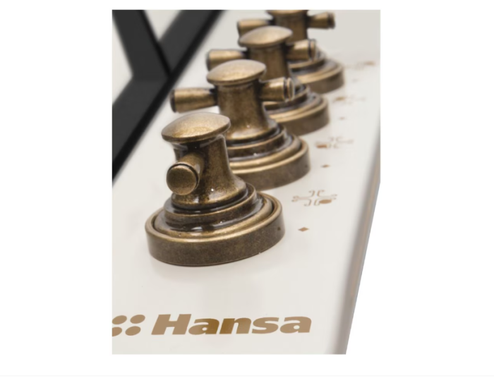 Plita incorporabila Hansa BHGY620390 [2]