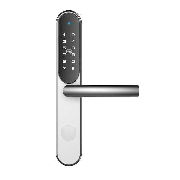 Incuietoare all-in-one pentru apartamente cu regim hotelier DLK-929SS-6M-R/L conexiune bluetooth [3]