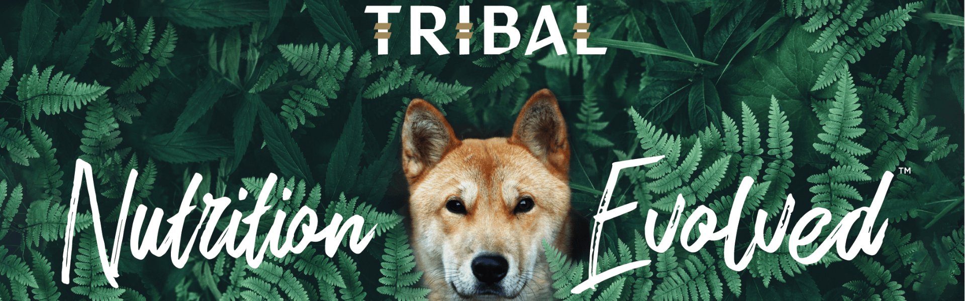 Tribal