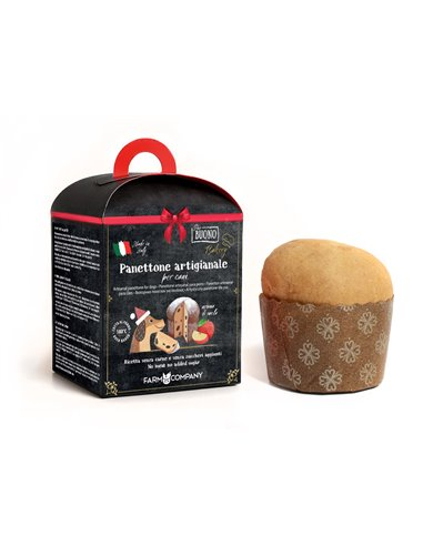 M-PIU162 Farm Company Panettone Artizanal pentru caini cu aroma de mere 100G [2]
