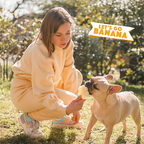 Smoofl Banana - Mix Inghetata pentru Caini cu Banane [4]