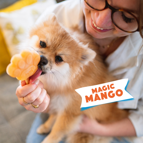 Smoofl Mango - Mix Inghetata pentru Caini cu Mango [5]