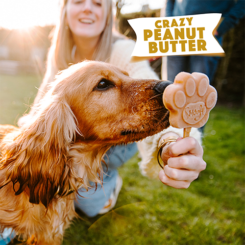 Smoofl Peanut Butter - Mix Inghetata pentru Caini cu Unt de Arahide [4]