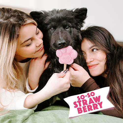 Smoofl Strawberry - Mix Inghetata pentru Caini cu Capsuni [4]