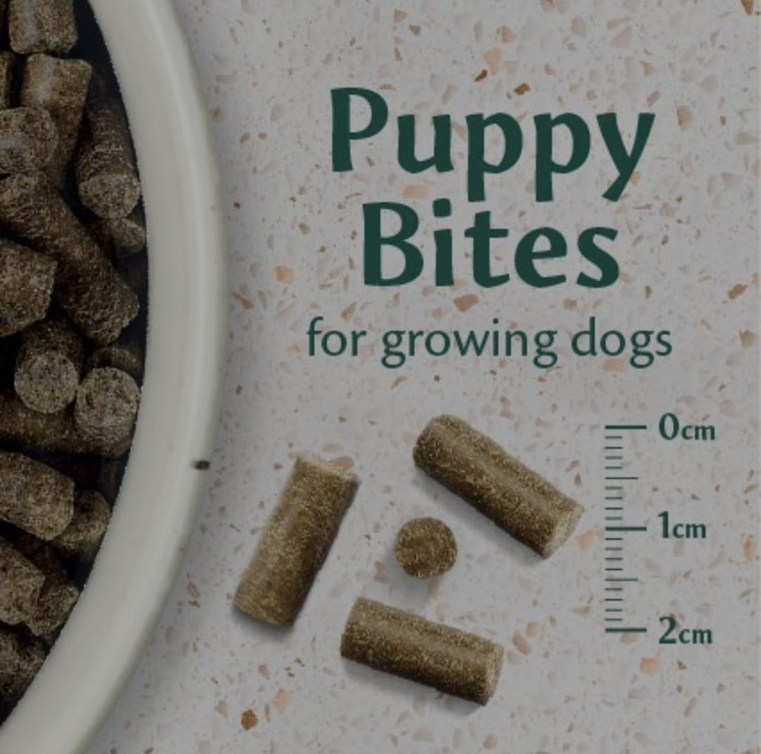 Tribal Puppy Pui, Hrana Presata la Rece 12kg [4]