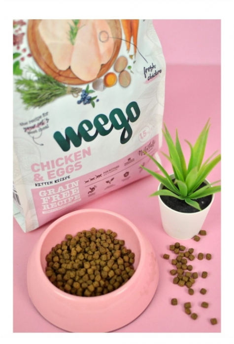 Weego Cat Kitten Pui & Ou [2]