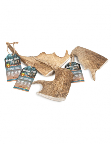 Lemne si coarne de cerb sau caprior - Naturedeli corn natural de cerb lopatar M 75-150 g