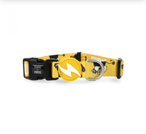 Accesorii - DASHI BRUTUS ZGARDA