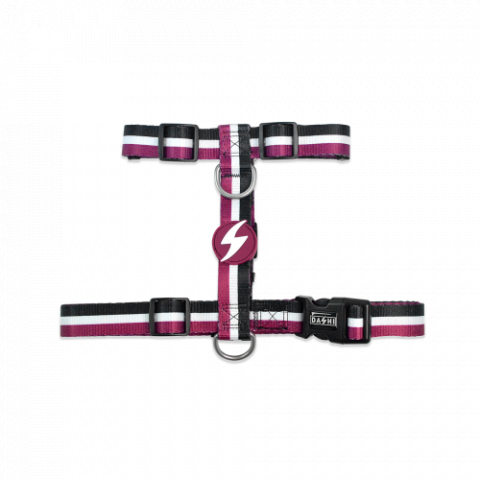 Lese, Zgarzi & Hamuri - Dashi Ham Stripes3 Purple&Black Back Harness