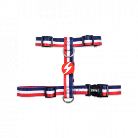 Lese, Zgarzi & Hamuri - Dashi Ham Stripes3 Red&Blue Back Harness