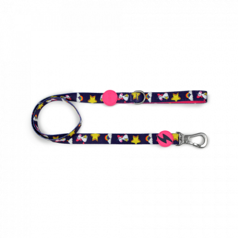 Accesorii - Dashi Lesa Unicorn