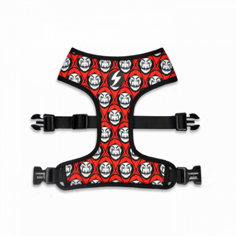 Caini - Dashi  Mask Neo Mesh