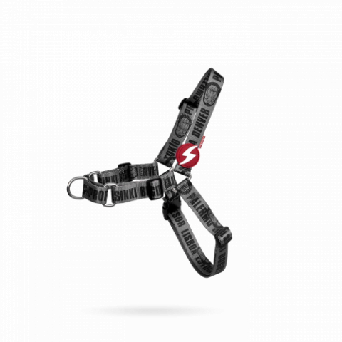 Caini - Dashi  Melted Front Harness