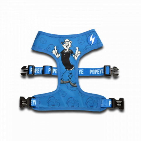 Caini - Dashi Popeye Neo Mesh