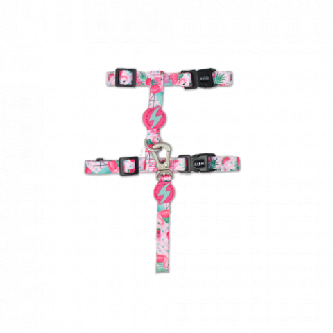 Accesorii - DASHI SET PISICA HAM/LESA FLAMINGO