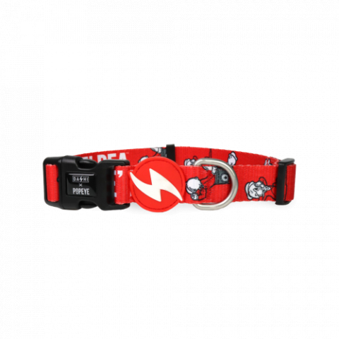 Accesorii - DASHI SWEEPEA ZGARDA