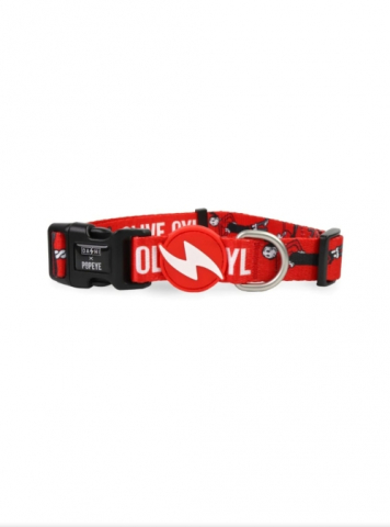 Accesorii - DASHI ZGARDA OLIVE OYL