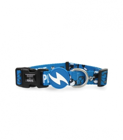 Accesorii - DASHI ZGARDA POPEYE
