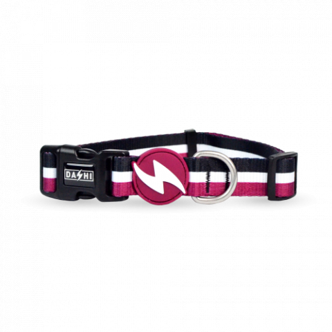 Caini - Dashi Zgarda Stripes Purple&Black